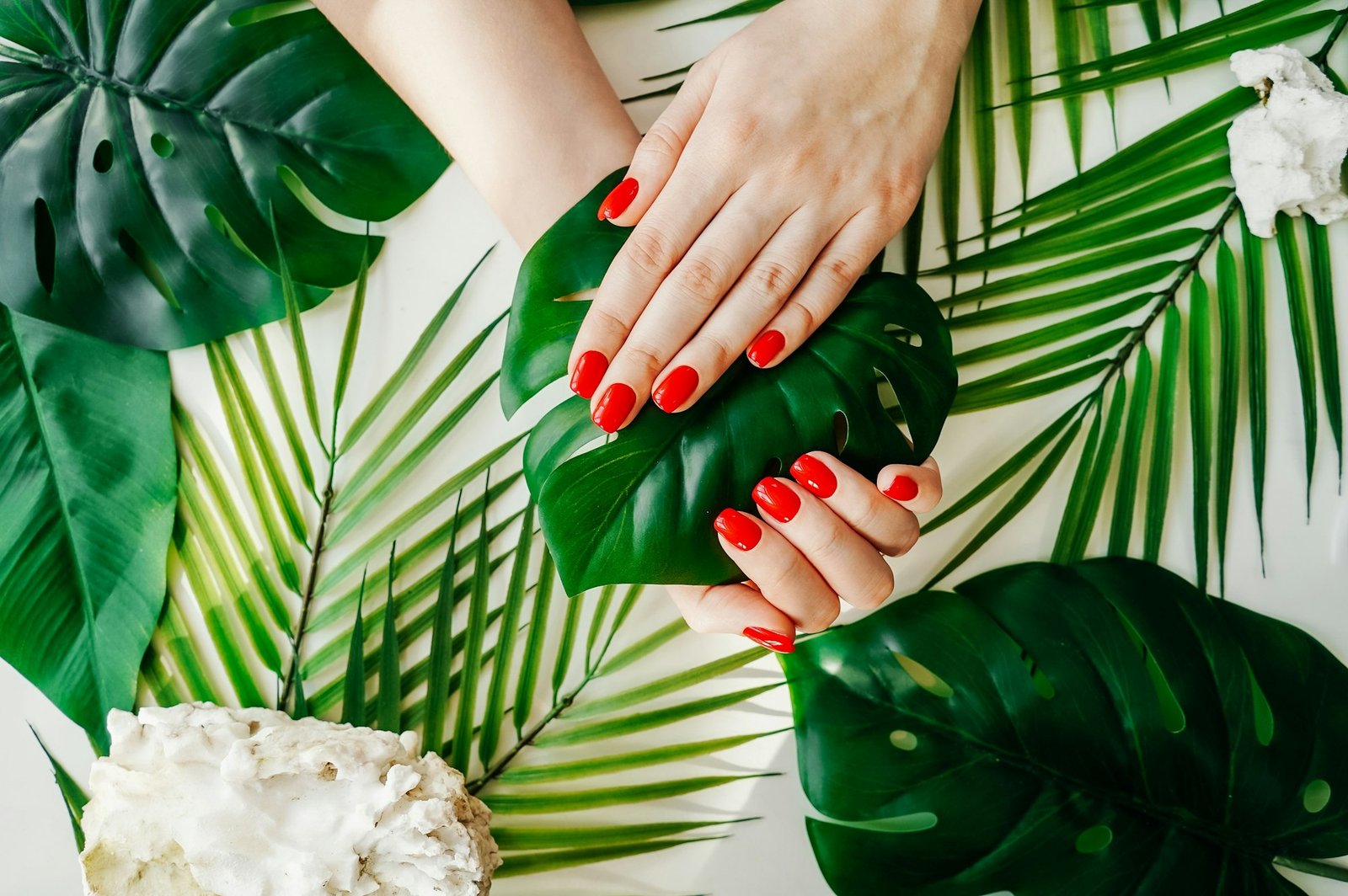 Beautiful manicured woman's nails with red nail polish on green leaves tropical background